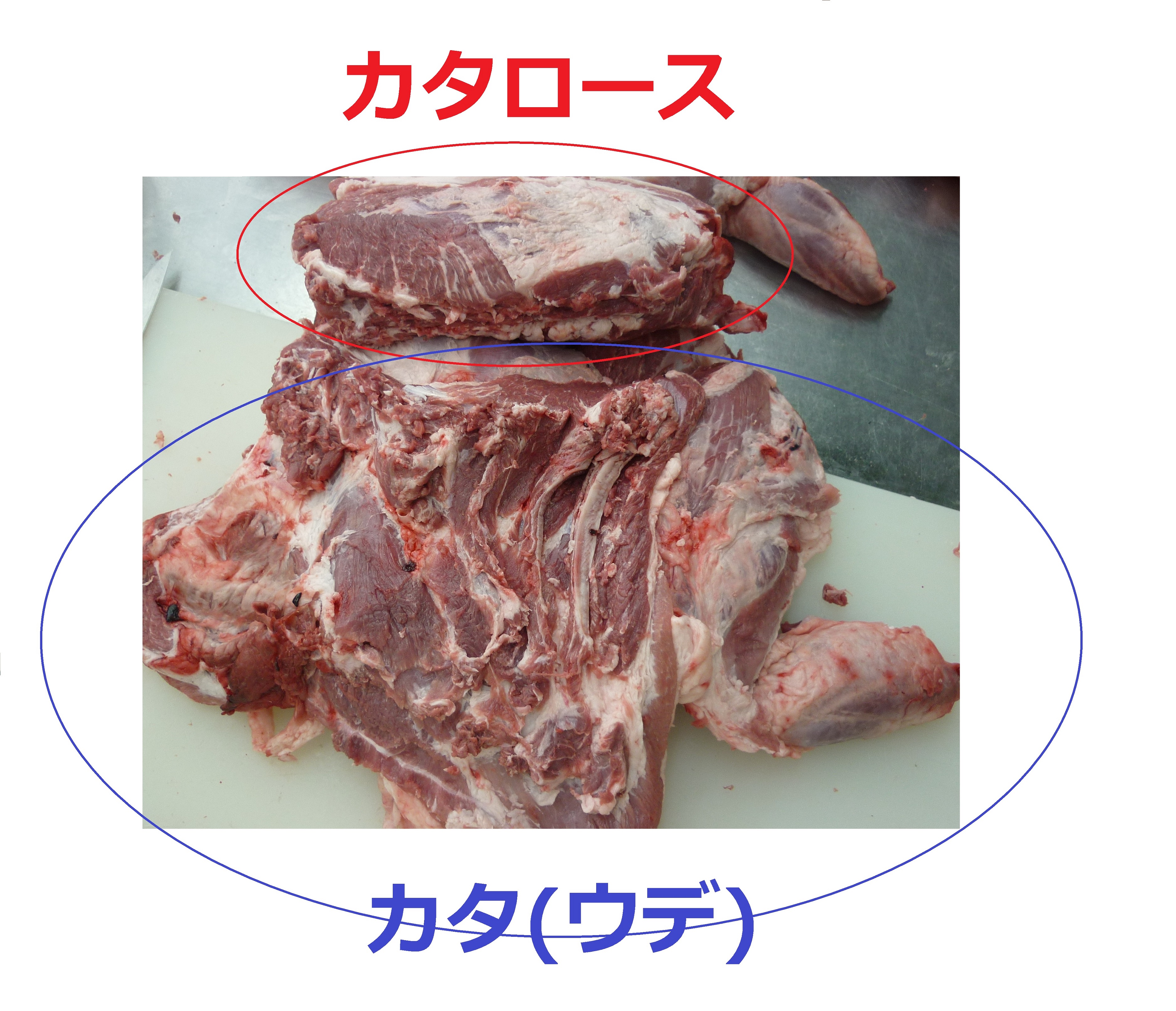 日英の肉比較 豚肉 カタロース編 株式会社西島畜産