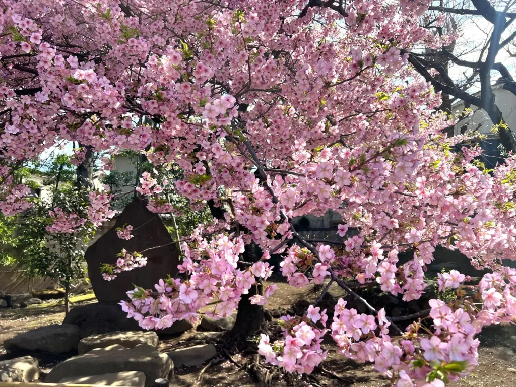 3月19日(木)20日(金)連休のお知らせ